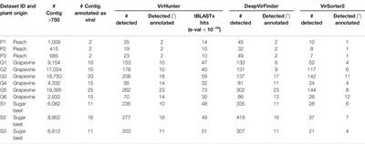 VirHunter: A Deep Learning-Based Method for Detection of Novel RNA Viruses in Plant Sequencing Data